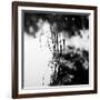 Straws Sticking Up from the Water in a River with Spiders Web-Henriette Lund Mackey-Framed Photographic Print