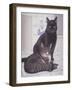 Stray and Daisie in the Kitchen-Joan Freestone-Framed Giclee Print