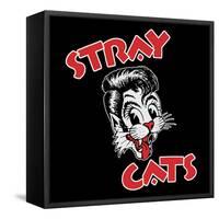 Stray Cats-null-Framed Stretched Canvas