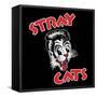 Stray Cats-null-Framed Stretched Canvas