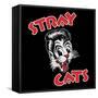 Stray Cats-null-Framed Stretched Canvas