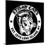 Stray Cats-null-Mounted Poster