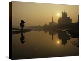 Stray Dog on a Sand Bank of the Yamuna River as the Sun is Seen Rising over the Taj Mahal in India-null-Stretched Canvas