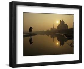 Stray Dog on a Sand Bank of the Yamuna River as the Sun is Seen Rising over the Taj Mahal in India-null-Framed Photographic Print