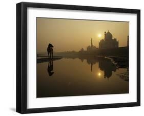 Stray Dog on a Sand Bank of the Yamuna River as the Sun is Seen Rising over the Taj Mahal in India-null-Framed Photographic Print