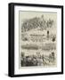 Stray Notes from South Africa-null-Framed Giclee Print