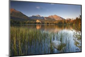 Strbske Pleso Lake in the Tatra Mountains, Slovakia, Europe. Autumn-Adam Burton-Mounted Photographic Print