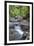 Stream Along Waiomu Kauri Grove Trail-Ian-Framed Photographic Print