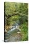 Stream and Bridge, Rize, Black Sea Region of Turkey-Ali Kabas-Stretched Canvas