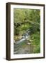 Stream and Bridge, Rize, Black Sea Region of Turkey-Ali Kabas-Framed Photographic Print