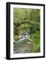 Stream and Bridge, Rize, Black Sea Region of Turkey-Ali Kabas-Framed Photographic Print