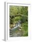 Stream and Bridge, Rize, Black Sea Region of Turkey-Ali Kabas-Framed Photographic Print