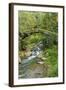 Stream and Bridge, Rize, Black Sea Region of Turkey-Ali Kabas-Framed Photographic Print