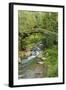 Stream and Bridge, Rize, Black Sea Region of Turkey-Ali Kabas-Framed Photographic Print