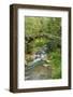 Stream and Bridge, Rize, Black Sea Region of Turkey-Ali Kabas-Framed Photographic Print