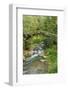 Stream and Bridge, Rize, Black Sea Region of Turkey-Ali Kabas-Framed Photographic Print