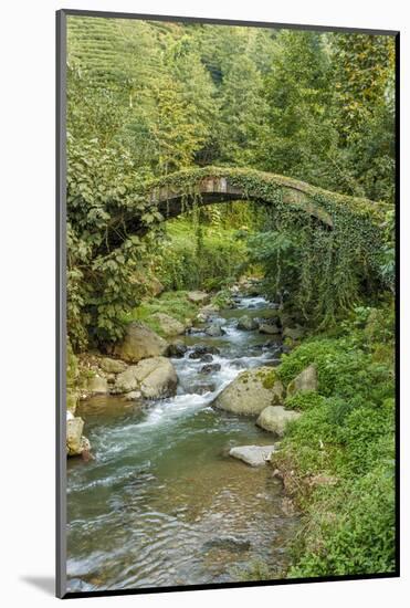 Stream and Bridge, Rize, Black Sea Region of Turkey-Ali Kabas-Mounted Photographic Print