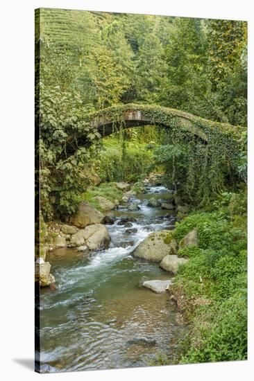 Stream and Bridge, Rize, Black Sea Region of Turkey-Ali Kabas-Stretched Canvas