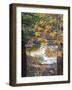 Stream and Fall Foliage, New Hampshire, USA-Nancy Rotenberg-Framed Photographic Print