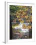 Stream and Fall Foliage, New Hampshire, USA-Nancy Rotenberg-Framed Photographic Print