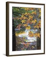 Stream and Fall Foliage, New Hampshire, USA-Nancy Rotenberg-Framed Photographic Print