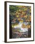 Stream and Fall Foliage, New Hampshire, USA-Nancy Rotenberg-Framed Photographic Print