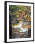 Stream and Fall Foliage, New Hampshire, USA-Nancy Rotenberg-Framed Photographic Print