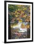 Stream and Fall Foliage, New Hampshire, USA-Nancy Rotenberg-Framed Photographic Print