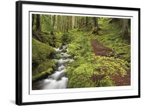 Stream And Forest Path-Donald Paulson-Framed Giclee Print