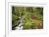 Stream And Forest Path-Donald Paulson-Framed Giclee Print