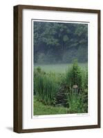 Stream and Mist-Stacy Bass-Framed Giclee Print