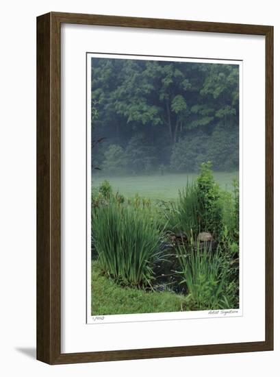 Stream and Mist-Stacy Bass-Framed Giclee Print