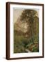 Brown Frame