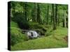 Stream Cascades over Rocks in Woods at Delphi, County Mayo, Connacht, Eire, Europe-Rainford Roy-Stretched Canvas