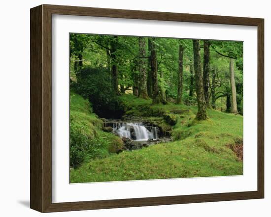 Stream Cascades over Rocks in Woods at Delphi, County Mayo, Connacht, Eire, Europe-Rainford Roy-Framed Photographic Print