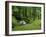 Stream Cascades over Rocks in Woods at Delphi, County Mayo, Connacht, Eire, Europe-Rainford Roy-Framed Photographic Print