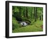 Stream Cascades over Rocks in Woods at Delphi, County Mayo, Connacht, Eire, Europe-Rainford Roy-Framed Photographic Print