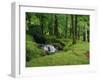 Stream Cascades over Rocks in Woods at Delphi, County Mayo, Connacht, Eire, Europe-Rainford Roy-Framed Photographic Print