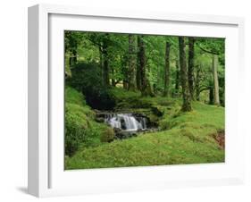 Stream Cascades over Rocks in Woods at Delphi, County Mayo, Connacht, Eire, Europe-Rainford Roy-Framed Photographic Print