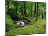 Stream Cascades over Rocks in Woods at Delphi, County Mayo, Connacht, Eire, Europe-Rainford Roy-Mounted Photographic Print
