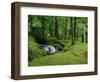 Stream Cascades over Rocks in Woods at Delphi, County Mayo, Connacht, Eire, Europe-Rainford Roy-Framed Photographic Print