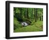 Stream Cascades over Rocks in Woods at Delphi, County Mayo, Connacht, Eire, Europe-Rainford Roy-Framed Photographic Print