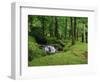 Stream Cascades over Rocks in Woods at Delphi, County Mayo, Connacht, Eire, Europe-Rainford Roy-Framed Photographic Print