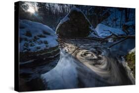 Stream Course in the Winter Wood, Triebtal, Vogtland, Saxony, Germany-Falk Hermann-Stretched Canvas