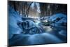 Stream Course in the Winter Wood, Triebtal, Vogtland, Saxony, Germany-Falk Hermann-Mounted Photographic Print