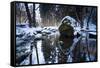 Stream Course in the Winter Wood, Triebtal, Vogtland, Saxony, Germany-Falk Hermann-Framed Stretched Canvas