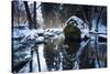 Stream Course in the Winter Wood, Triebtal, Vogtland, Saxony, Germany-Falk Hermann-Stretched Canvas