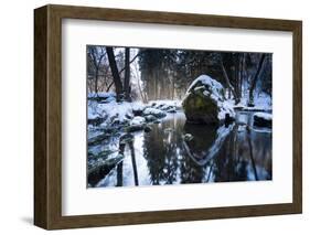 Stream Course in the Winter Wood, Triebtal, Vogtland, Saxony, Germany-Falk Hermann-Framed Photographic Print