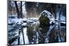 Stream Course in the Winter Wood, Triebtal, Vogtland, Saxony, Germany-Falk Hermann-Mounted Photographic Print