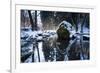 Stream Course in the Winter Wood, Triebtal, Vogtland, Saxony, Germany-Falk Hermann-Framed Photographic Print